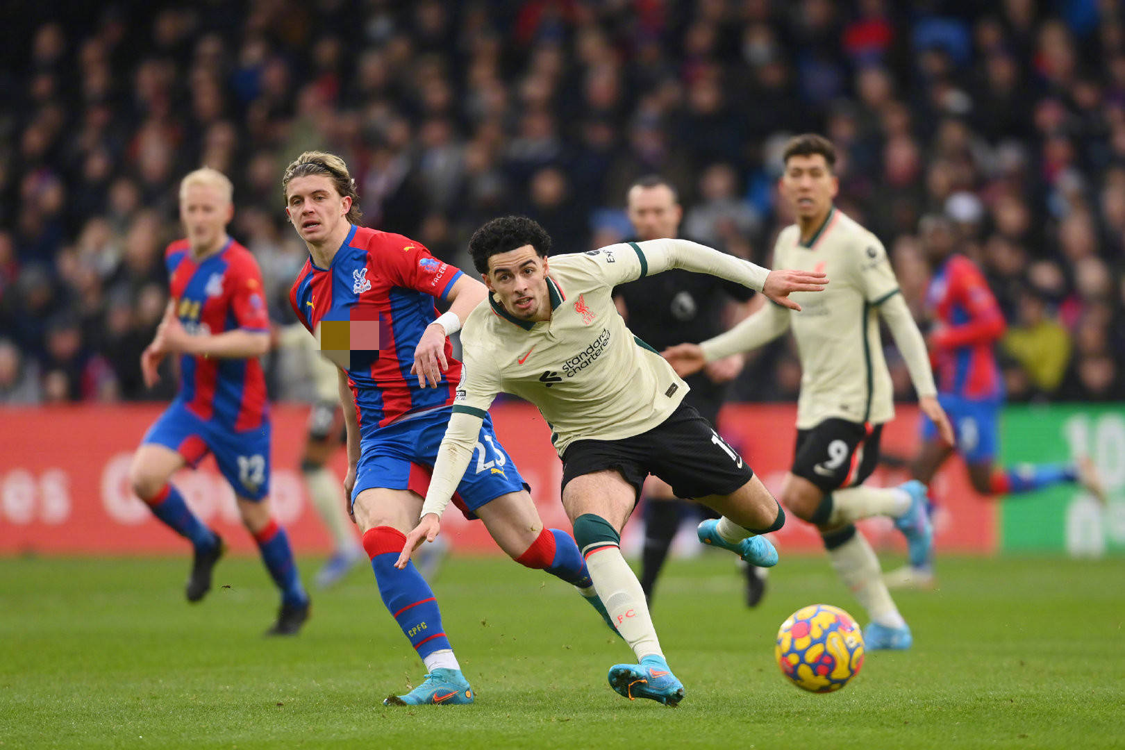 个人素质的 个人素质的