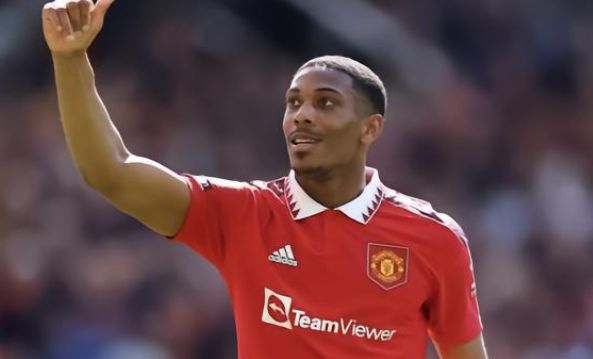 的讨论和分 的讨论和分